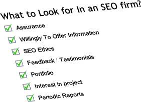 what to look for seo